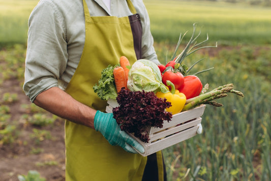 Choosing the Perfect Fertilizer for Your Fruit and Vegetable Garden