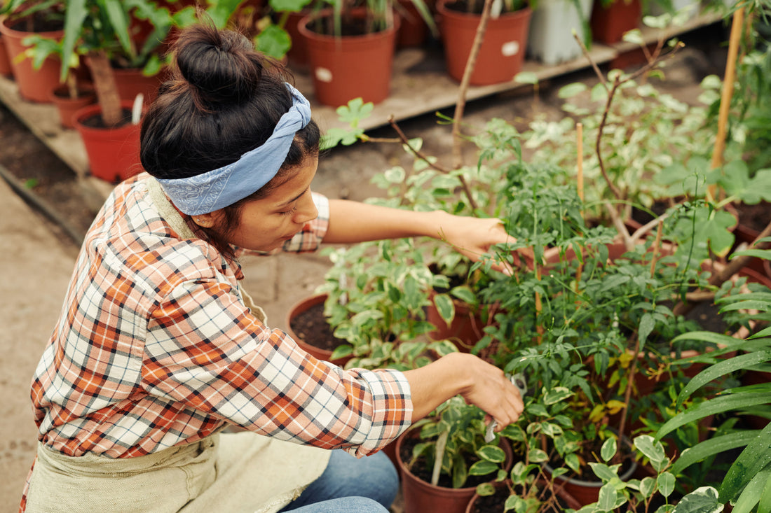 best liquid fertilizer for vegetables