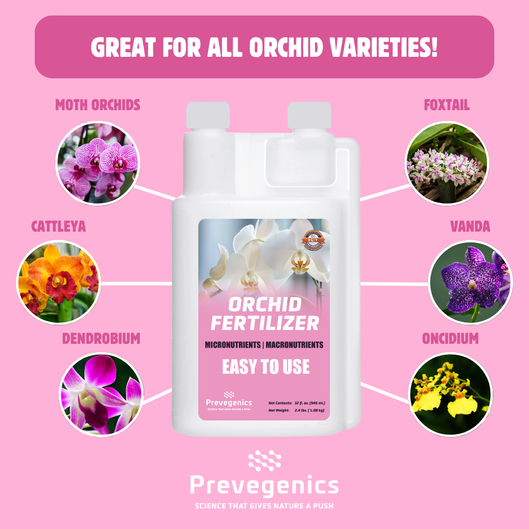 Orchid Fertilizer