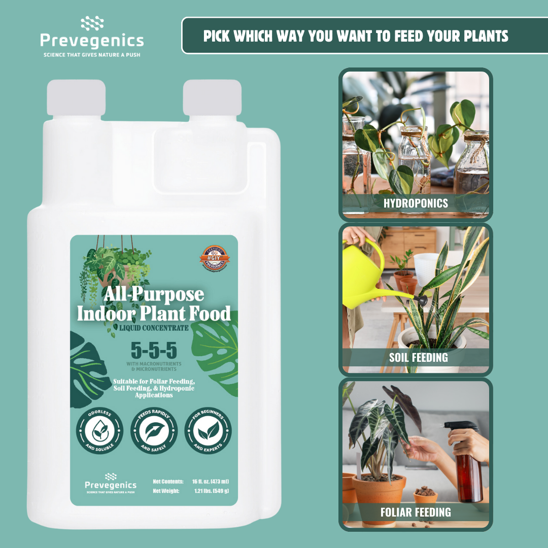 All-Purpose Indoor Plant Food