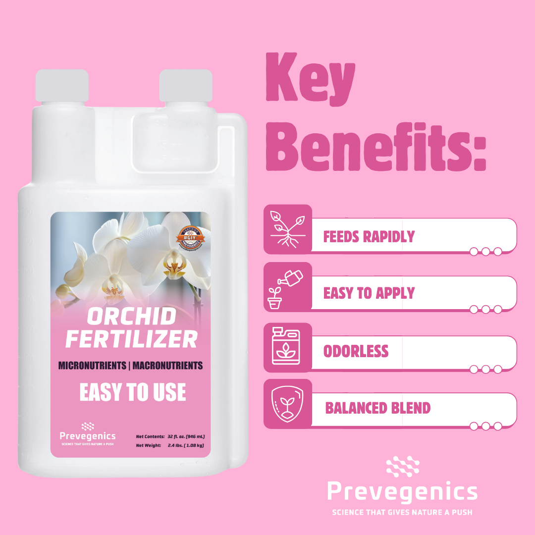 Orchid Fertilizer