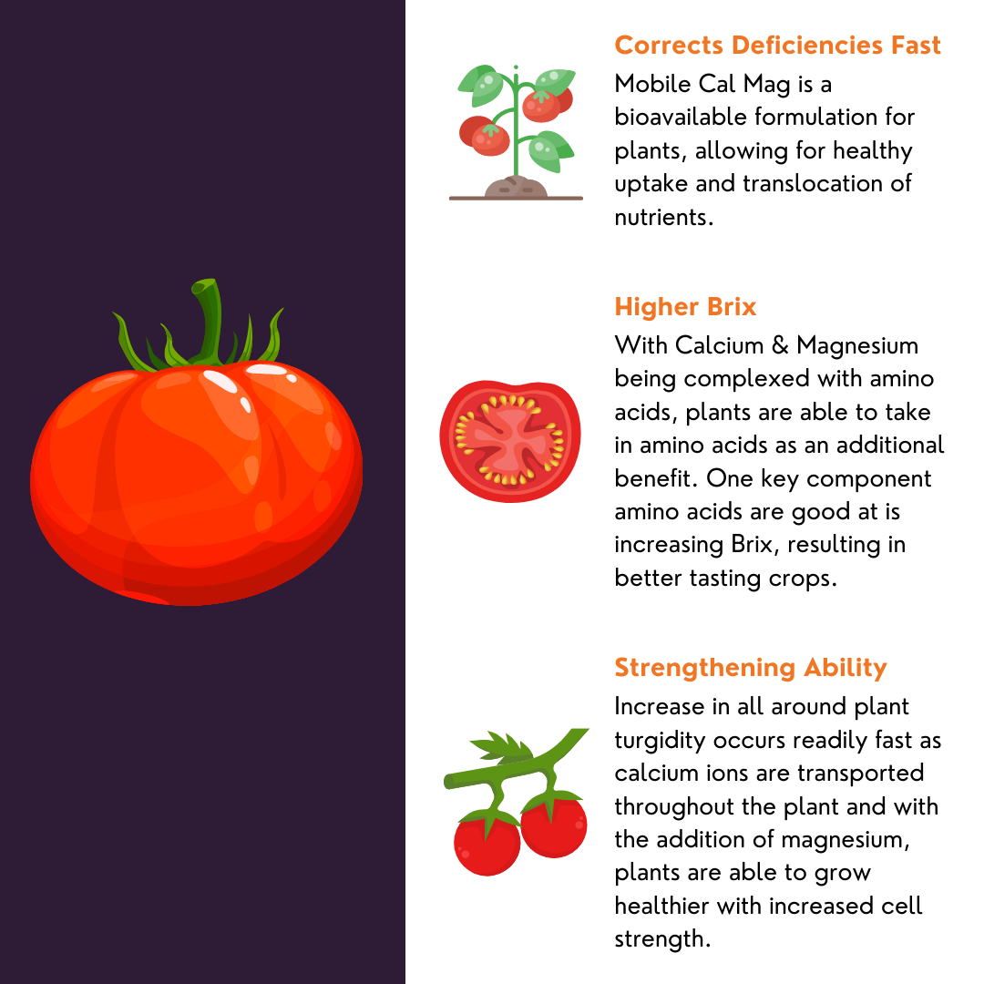 Mobile Calcium & Magnesium