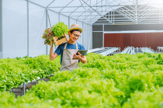Elevating Your Gardening Game: Navigating the Asian Market for Compost-Enriched Products
