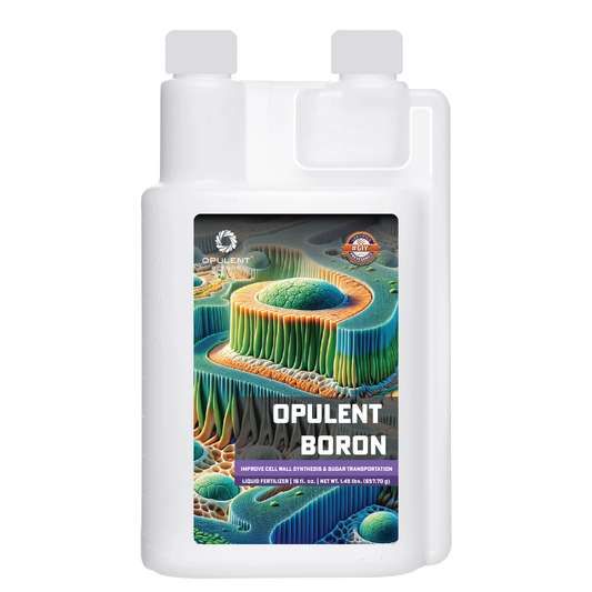 Opulent Boron