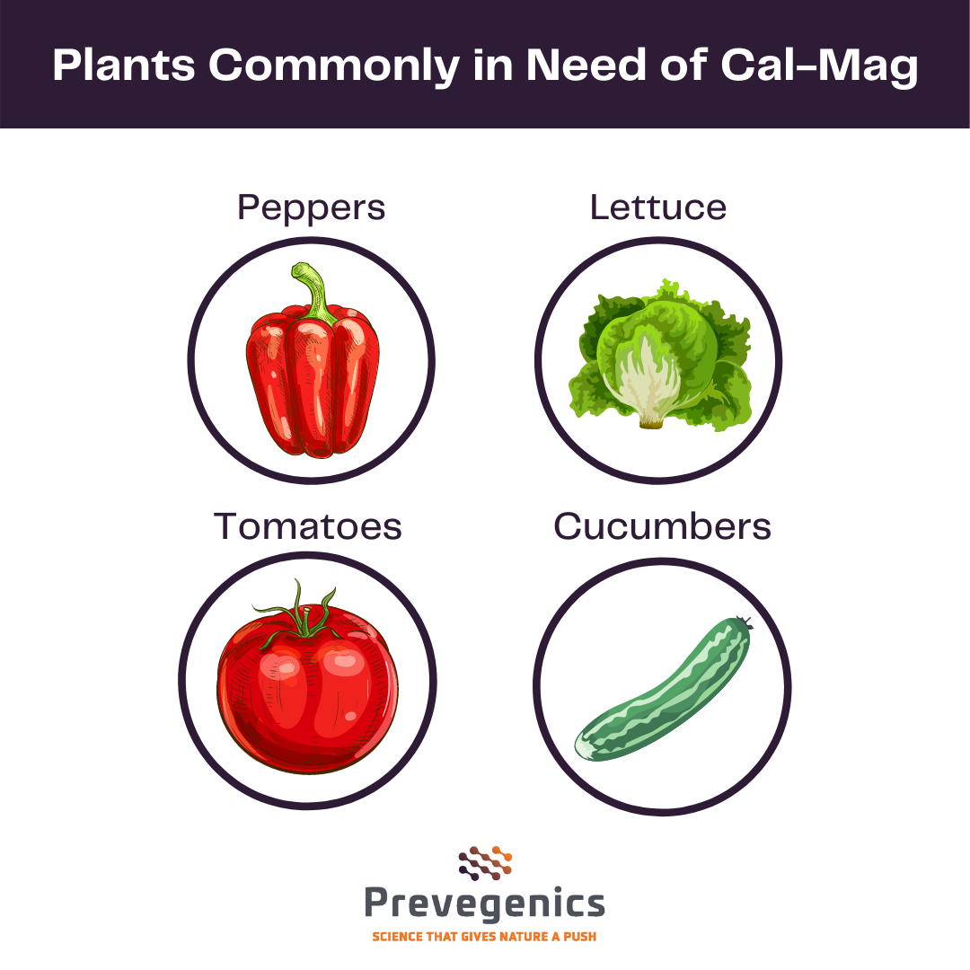 Plants commonly in need of Cal-Mag