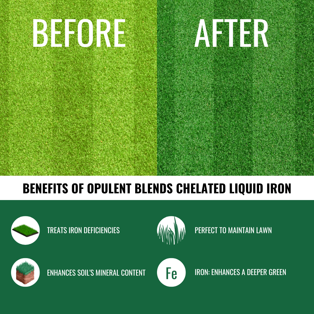 benefits of opulent blends chelated liquid iron caption with green shades as background
